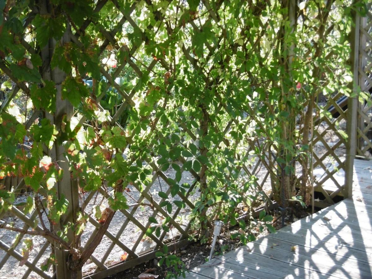 Le Chat Qui Peche B&B Châteauneuf-la-Forêt Esterno foto